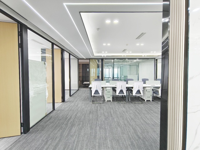 茂业天地 锦江区 290.00㎡ 精装 甲级 定制装修,其他