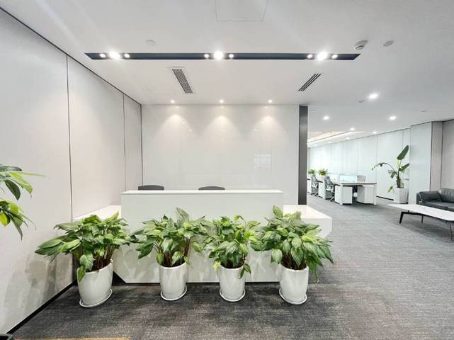 蓝润摩里中心 青羊区 296.00㎡ 精装 甲级 其他 含物业