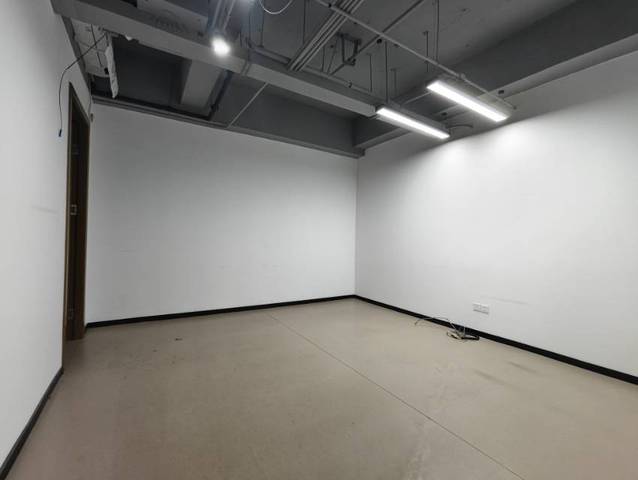 天府新谷 高新南区 401.00㎡ 简装  乙级 其他