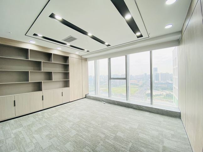 西希中环国际 成华区 539.36㎡ 精装 甲级 其他