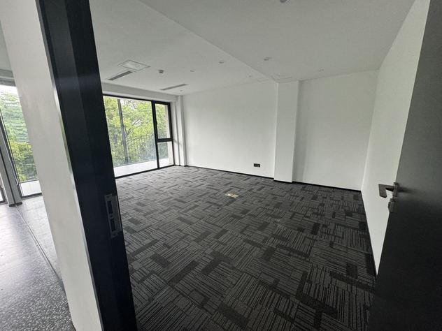 浣花岛 青羊区 252.00㎡ 精装 其他 其他