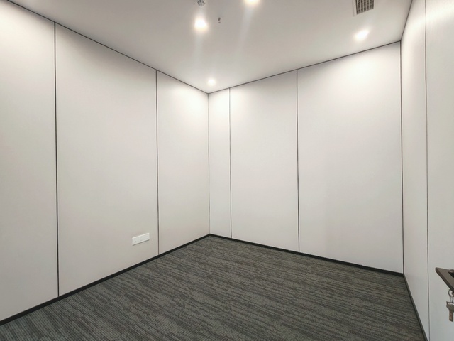 泰和泰中心 天府新区 293.50㎡ 精装 超甲级 其他