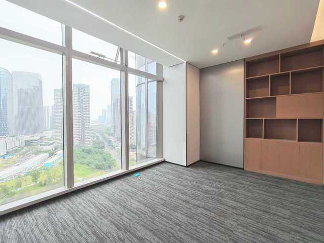 泰和泰中心 天府新区 386.70㎡ 精装 超甲级 其他