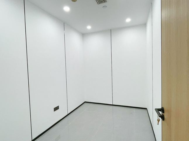 东方希望中心 高新南区 精装 甲级 其他 含物业