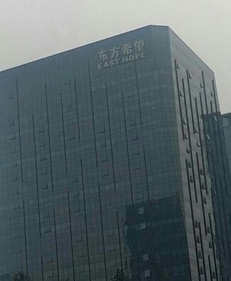 东方希望中心 高新南区 精装 甲级 其他