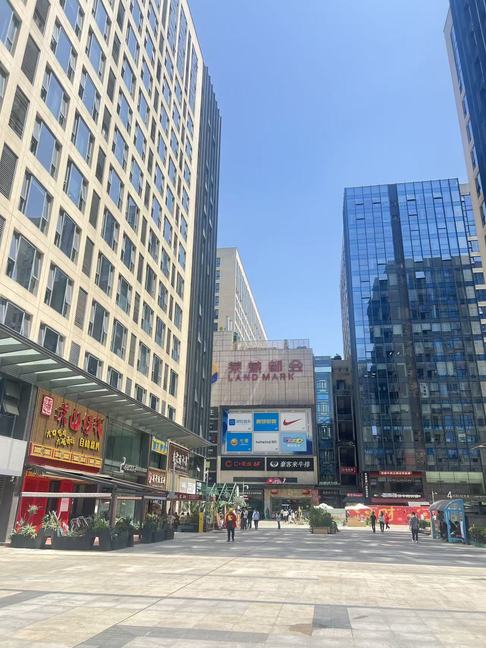 莱蒙都会 武侯区 478.00㎡ 精装 乙级 电梯口,多面采光